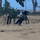 Samuel Alfaro - @SamuelA97229956 - Twitter