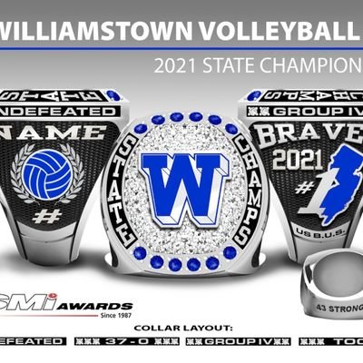 WilltownVball Profile Picture