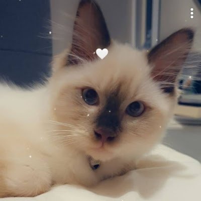 Camjane70's profile picture. 