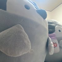 まちび (@i_love_did) 's Twitter Profile Photo