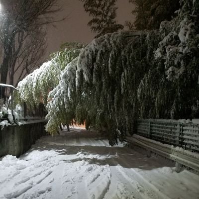 にわか。Pさんしてたり諸々。シャニマスメイン。
愛知県に対して妙に知ったかぶりスタイルを取りがち。
❤🔁💣注意。

🏰：ﾑ᱾̿ᢦ̅̋ ̫ᢦ̄̏ᚿ(🎮)、🎪：🍑(🎀)、໒꒱：🏘・🎋(🍫)。△l⇔e！
NEXT→シャニ5th両日、MOIW2023両日、ミリ10thact-1両日