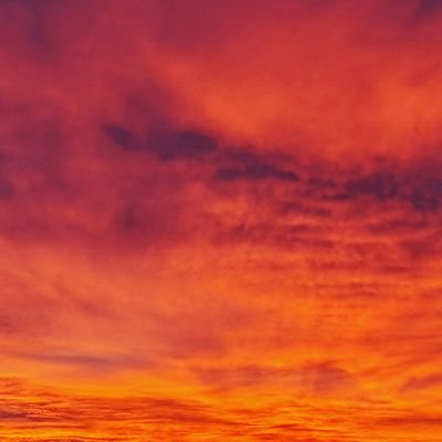 andreachard's profile picture. 