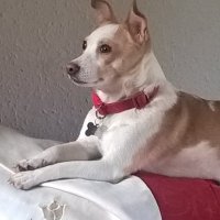 Kevin Swindells (@kevinswindells) 's Twitter Profile