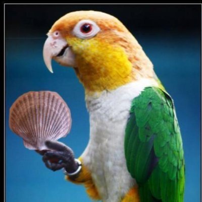 ezequielcbar's profile picture. Un laburante que se dio cuenta  que el problema de la Argentina es el adoctrinamiento metódico y silencioso del socialismo.