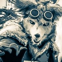 アマキンさん🐺 (@armorking_3rd) 's Twitter Profile