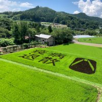 メリー (@taka_bluegort) 's Twitter Profile