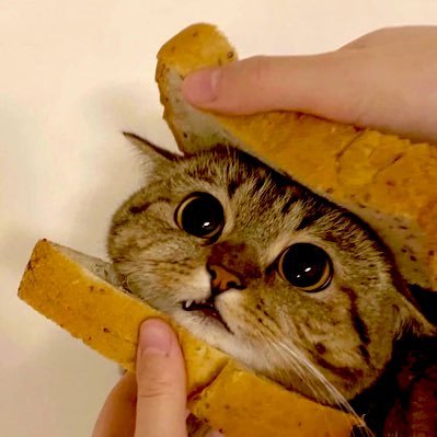 💖 ここからに見ると、全部ゴミだよ 💖