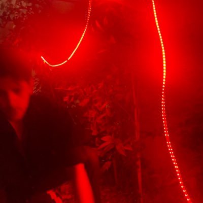 Robbyoee's profile picture. The most important