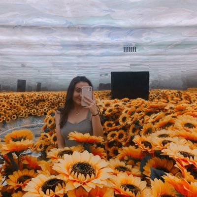 actuallybek's profile picture. basically my twitter circle