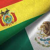 Crear oportunidades de inversión y trabajo para profesionales, emprendedores, empresas y académicos mexicanos en Bolivia, para el beneficio de ambos países.