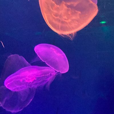 tools_kit's profile picture. よしなに ゲーム好き/カービィやモノリス(ゼノブレ)、ori、ナインソール 他