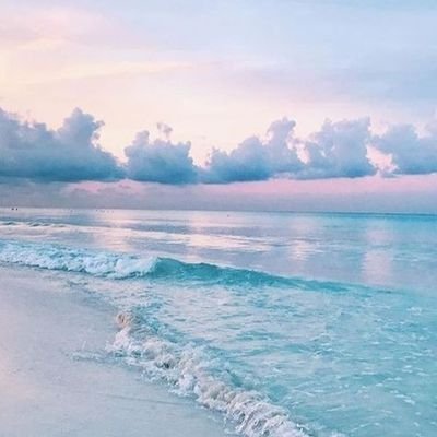 AnjaliG53966042's profile picture. 