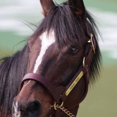 NIKO180sx's profile picture. 湾岸垢 無言フォローすみません。 気軽に、にこ、にこくんって呼んでください！