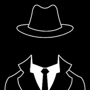 CodeName_NoCode's profile picture. Secret NoCode Agent