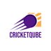 Cricketqube (@cricketqube) Twitter profile photo