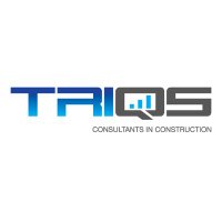 TRIQS(@_TRIQS) 's Twitter Profile Photo