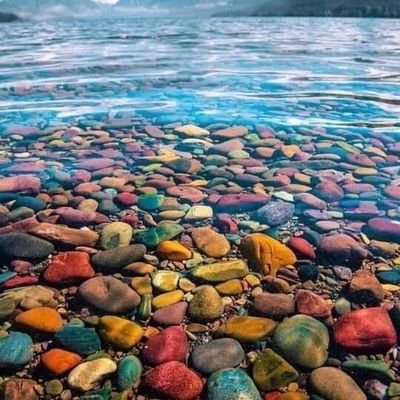 abrahym40321398's profile picture. Asimpl parson