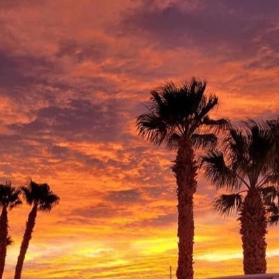 lightnfire's profile picture. Quotes 🥀