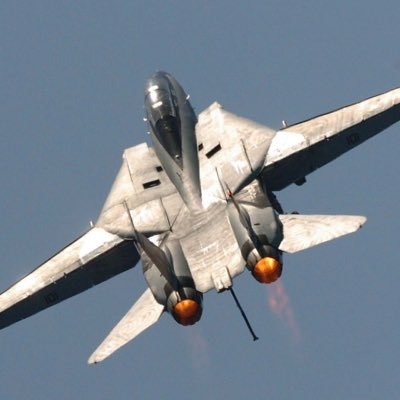 catsinspeedos's profile picture. 