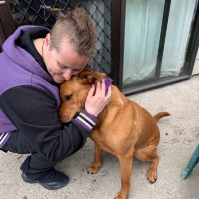 CareySimpsonNZ's profile picture. New Zealand is home 💗