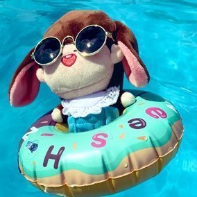 🐰Bunny 🐰 🤡✌️さんのプロフィール画像