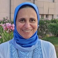 Maha ElTantawi (@mahaeltantawi) 's Twitter Profile