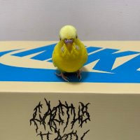 こすた (@costa_1_1) 's Twitter Profile