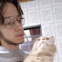 Juninho do Discord (@junimdisc) 's Twitter Profile