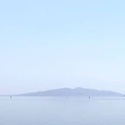 俳句沼に腰くらいまで浸かって喜んでいます。中村苑子にぞっこんです。苑子の戒名は水妖院吟遊佳苑大姉です。所属俳誌:山河、街