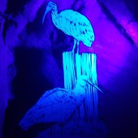 LeNoSe34 (@se34le) 's Twitter Profile