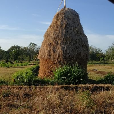 edykrist's profile picture. 