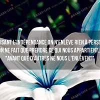 Jean Belley, observateur Loup Voyant (@jbcconseils) 's Twitter Profile