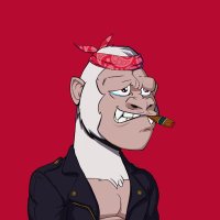 NFT Guy (@nftguy13) 's Twitter Profile