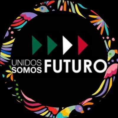 Ciudadanos en lucha por un México mejor y en defensa de la democracia. La constitución nos defiende a los ciudadanos #USF