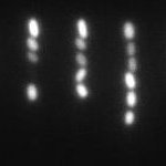 Research group led by Dr Pagliara @UniofExeter. #Microfluidics #Microbiology & #MembraneTransport, more at https://t.co/vfpBNuQ9oE…