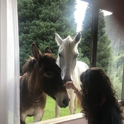 nndoo27's profile picture. 