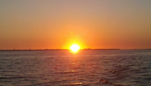 malexandrowicz's profile picture. 