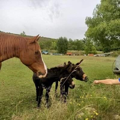J_miguel1982's profile picture. 