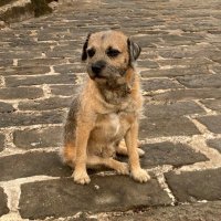 TrudyjWalker (@tr00dywalker) 's Twitter Profile