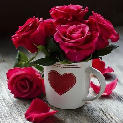 nimazodx900000's profile picture. 