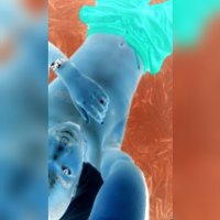 kingofkings (@apache17362) 's Twitter Profile
