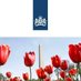 Netherlands Embassy in the US 🇳🇱🇺🇸 (@nlintheusa) Twitter profile photo Netherlands Embassy in the US 🇳🇱🇺🇸 (@nlintheusa) Twitter profile photo