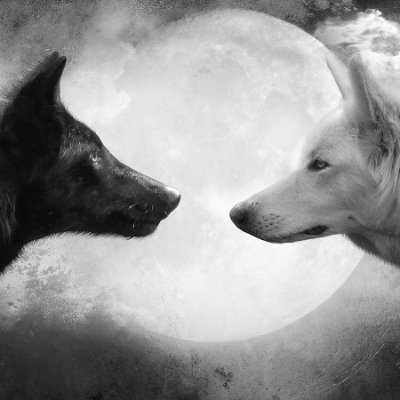 heydietherr's profile picture. Adventurer;

Life experiment: Tweeting my thoughts that will be copied in my journal. Account will be made public after a year or two.