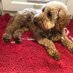 Soggy Doggy Mats UK (@soggydoggy_uk) Twitter profile photo Soggy Doggy Mats UK (@soggydoggy_uk) Twitter profile photo