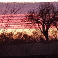 Steve Price (@perlican3) 's Twitter Profile