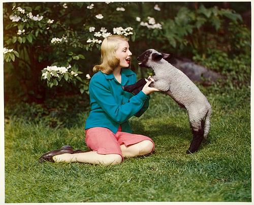 EmilieLamy's profile picture. 