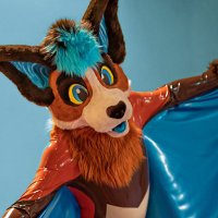 Fycus the Bat(@FycusBat) 's Twitter Profile Photo