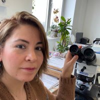 Hatice Olger Uzuner,MD(@OlgerHatice) 's Twitter Profile Photo