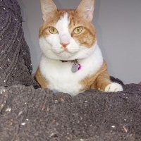 dadada5151 (@dadada51511) 's Twitter Profile