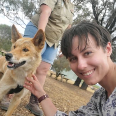 I'm generally reading books or thinking about books. Yes, that is a dingo. No, it is not mine. Will never organize my bookshelves in a rational manner